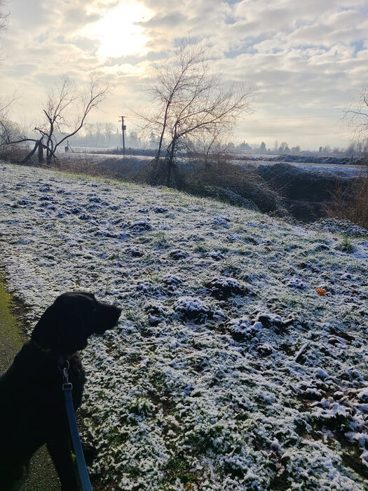 Cedric, Feb 2023