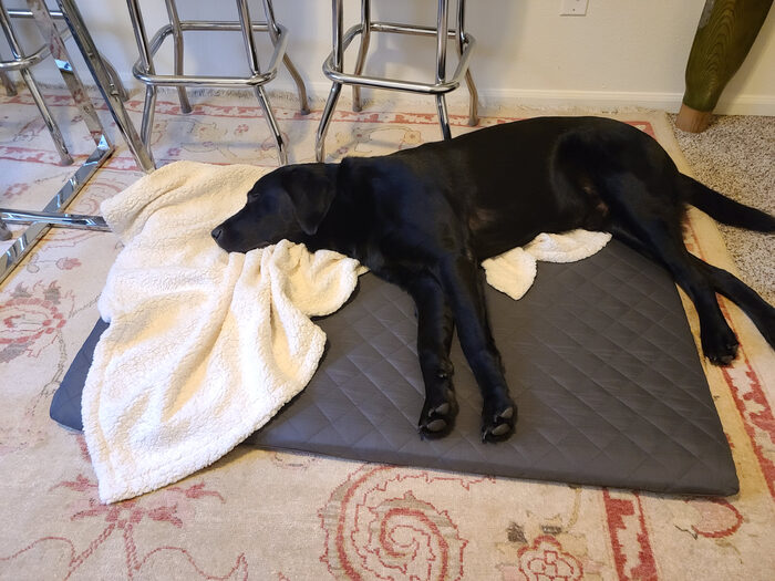 Cedric, Jan 2021