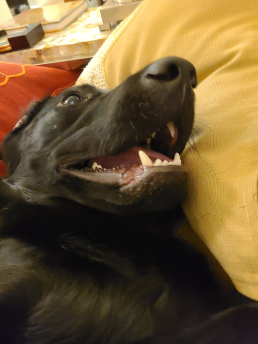 Cedric, Feb 2021