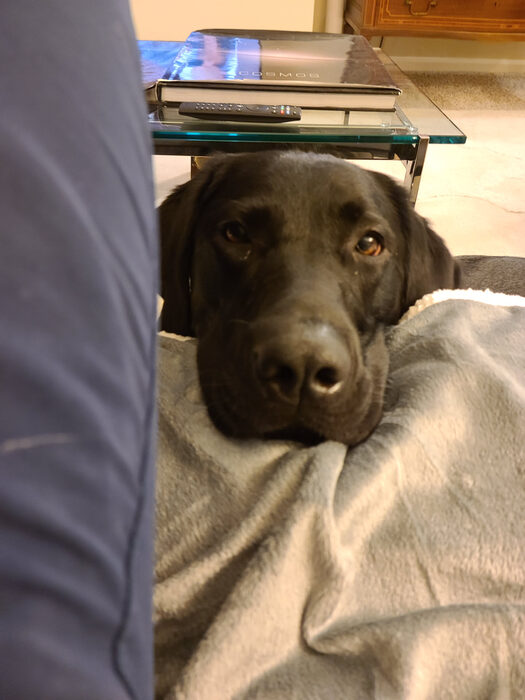Cedric, Jan 2021
