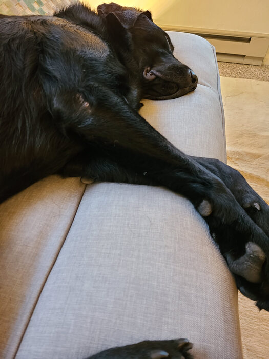 Cedric, Jan 2021