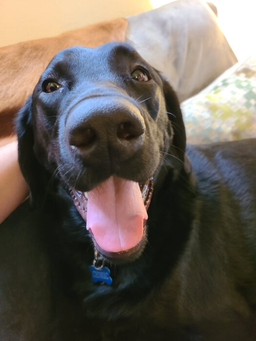 Cedric, Feb 2021