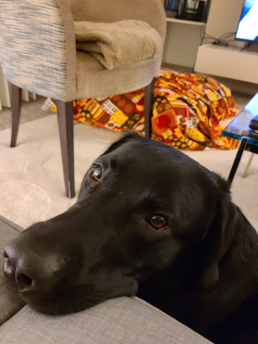 Cedric, Jan 2021