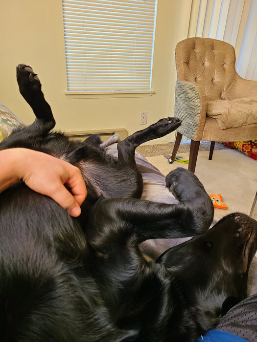Cedric, Jan 2021