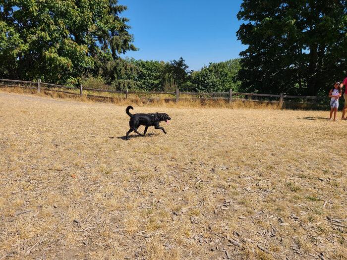 Cedric, Aug 2021