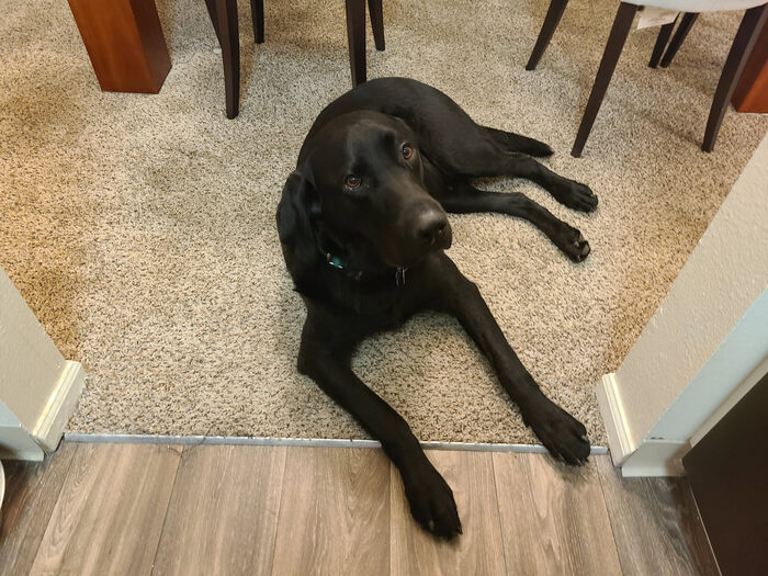 Cedric, May 2021