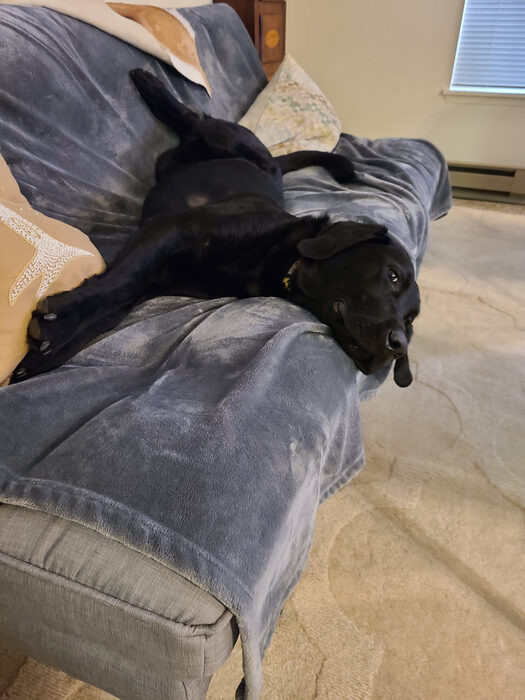 Cedric, Aug 2021