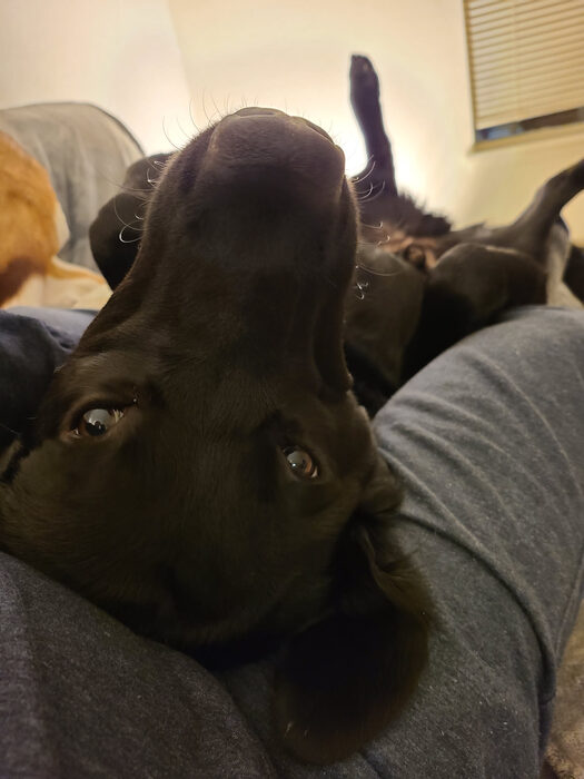 Cedric, Feb 2021