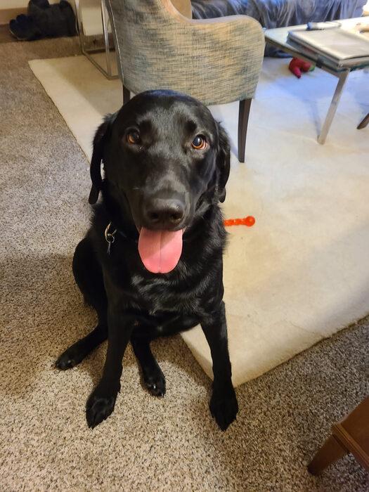 Cedric, Feb 2021