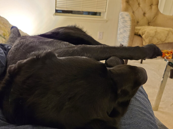 Cedric, Feb 2021