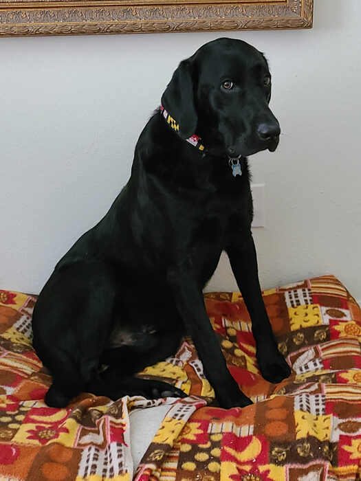 Cedric, Jun 2021