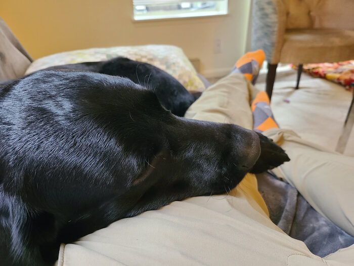 Cedric, Feb 2021