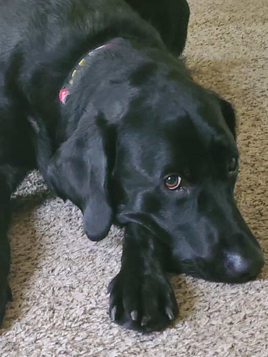 Cedric, Jun 2021