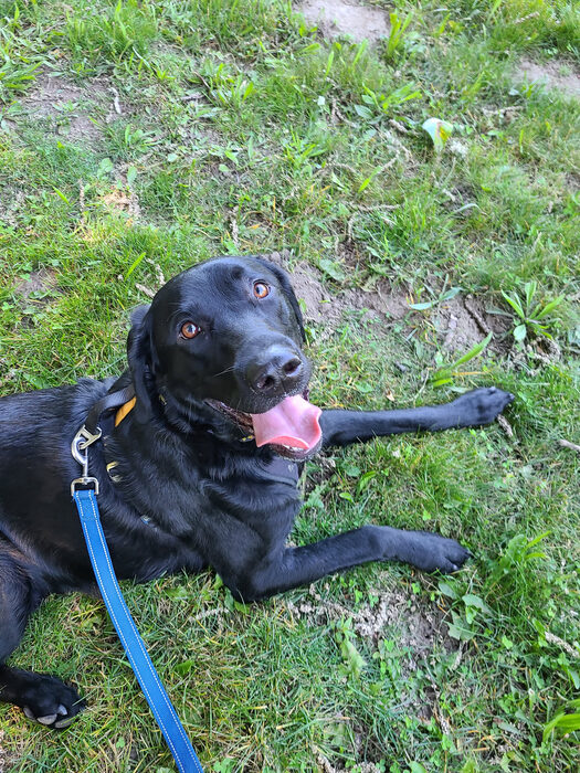 Cedric, Jun 2021