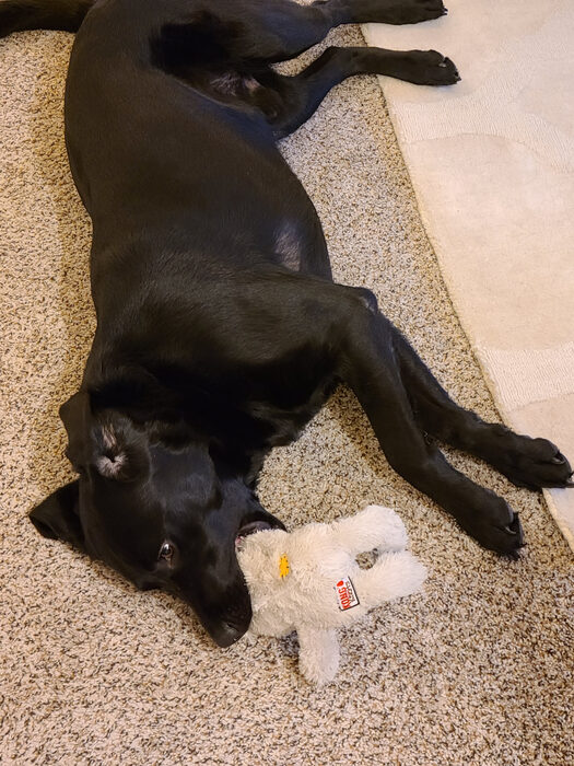 Cedric, Jan 2021