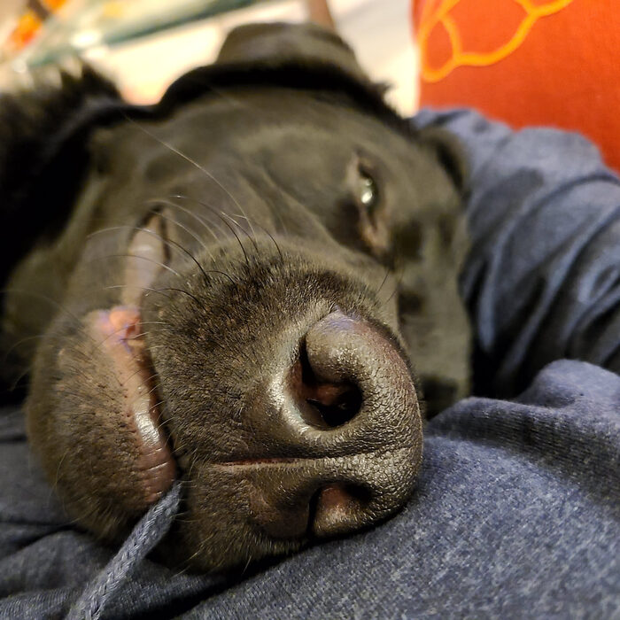 Cedric, Feb 2021