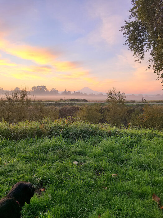 Cedric, Oct 2021
