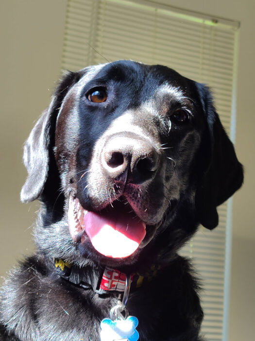 Cedric, Sep 2021