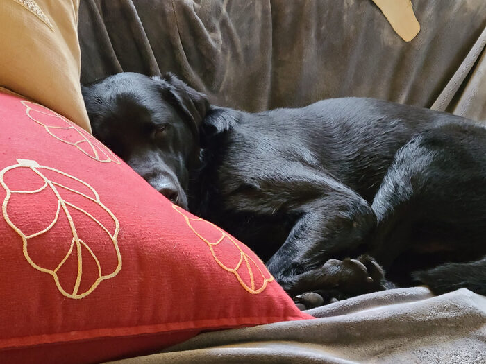 Cedric, Mar 2021
