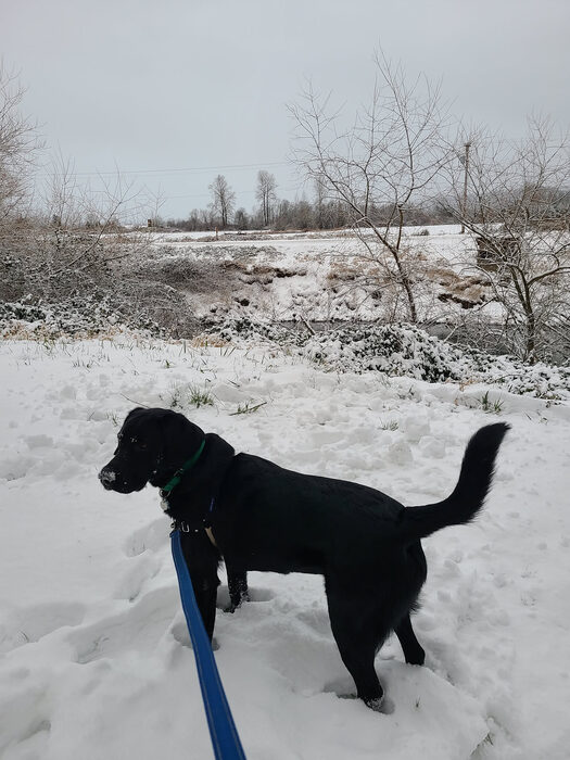 Cedric, Feb 2021