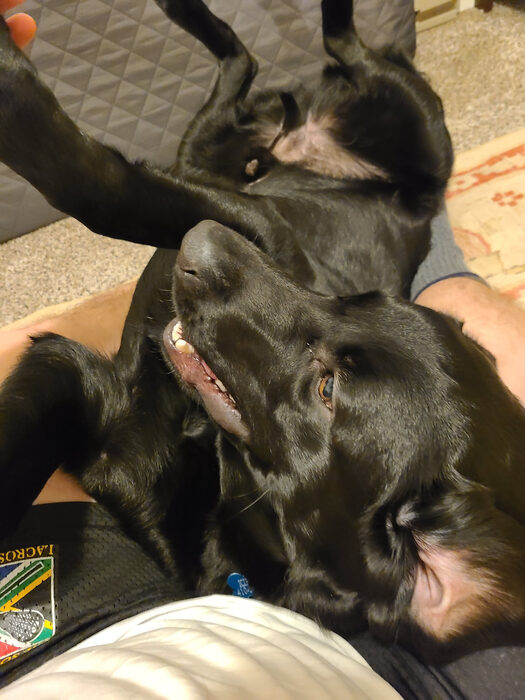 Cedric, Feb 2021