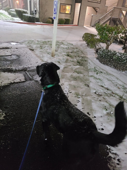 Cedric, Feb 2021