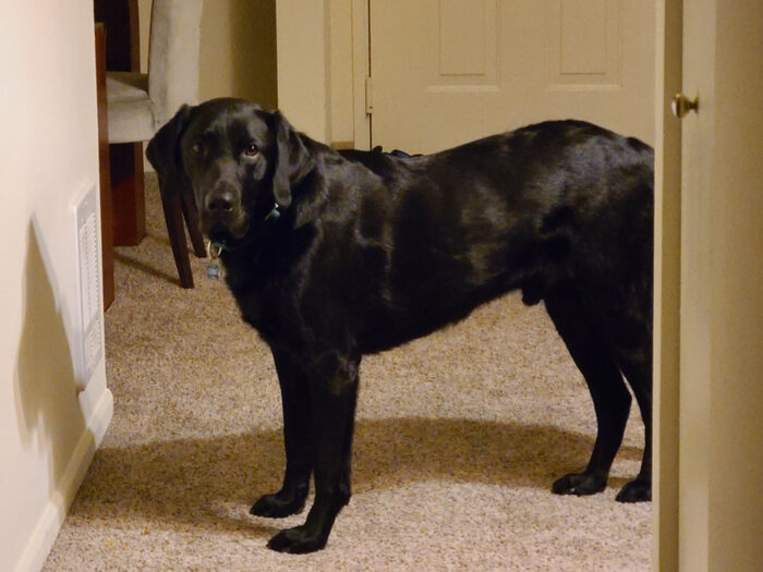 Cedric, Mar 2021