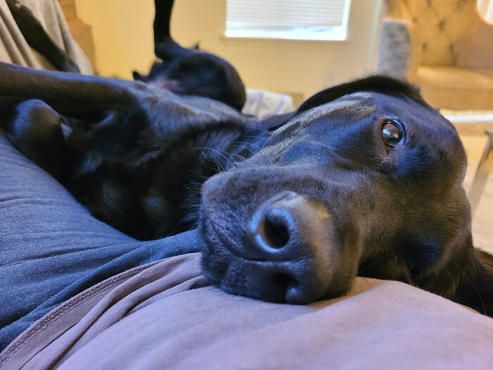 Cedric, Mar 2021