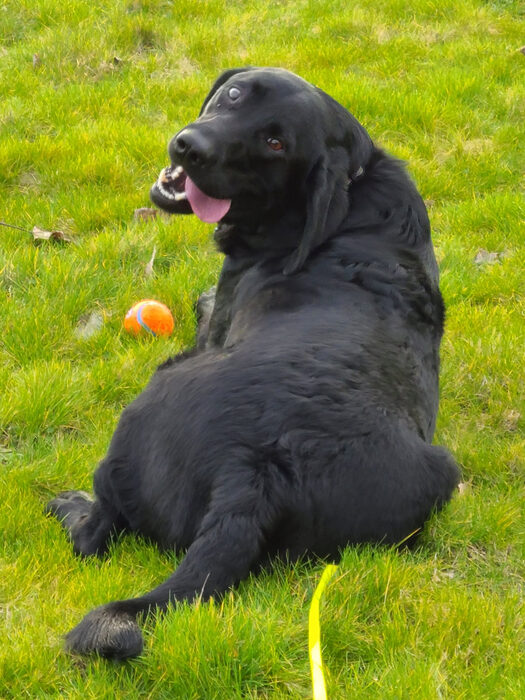 Cedric, Feb 2022