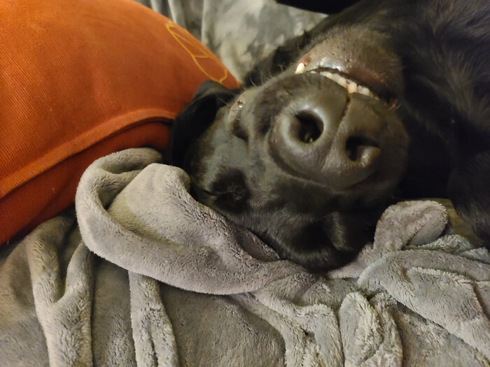 Cedric, Jan 2023