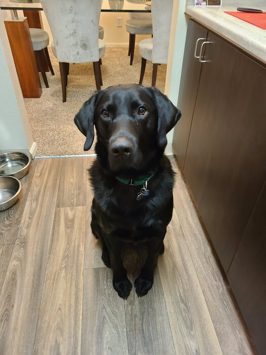 Cedric, Feb 2021