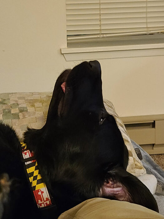 Cedric, Jun 2021