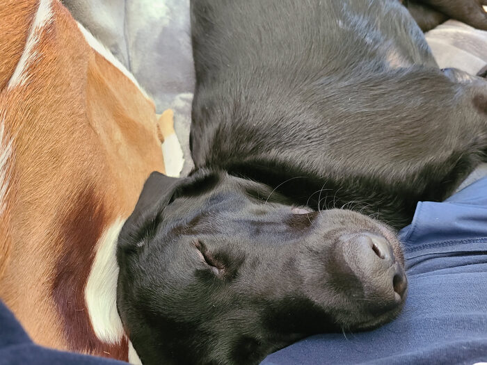 Cedric, Apr 2021