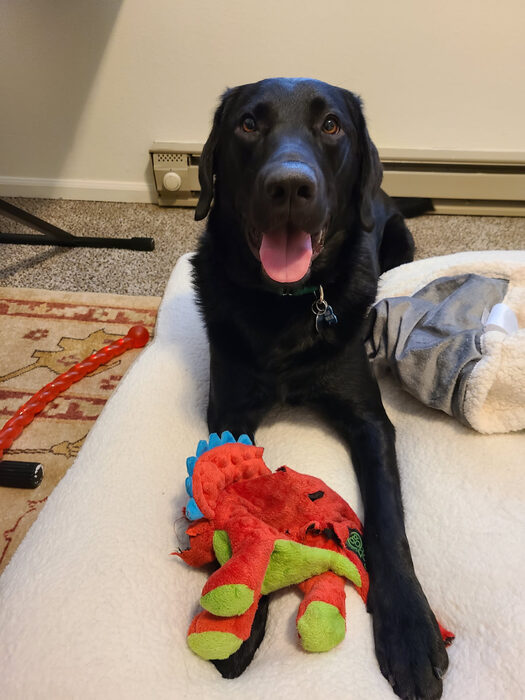 Cedric, Feb 2021