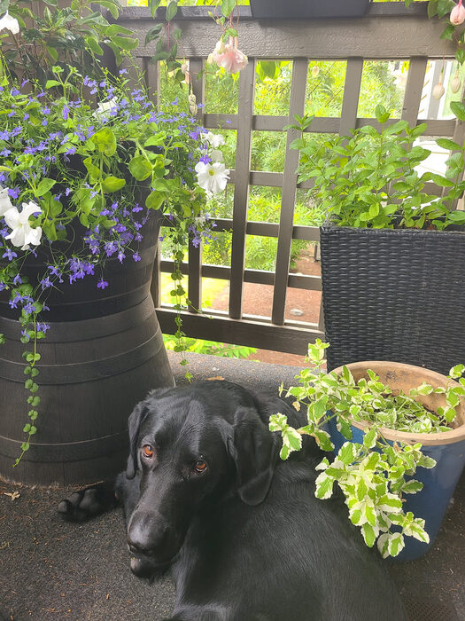Cedric, Jul 2022
