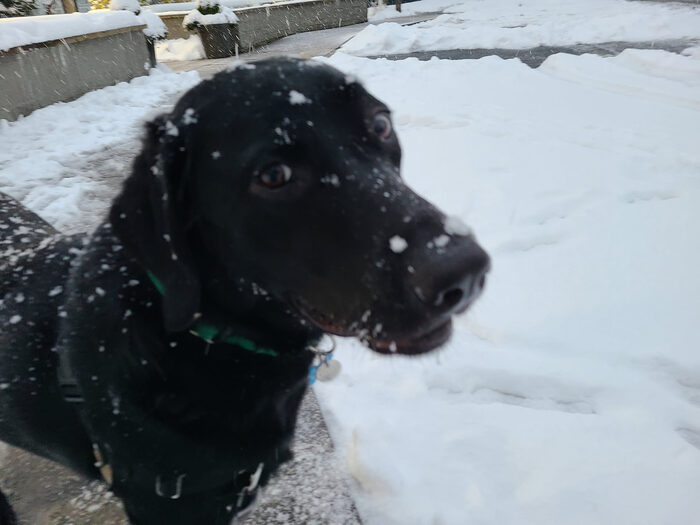 Cedric, Feb 2021