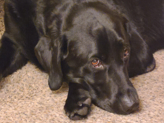 Cedric, Oct 2023