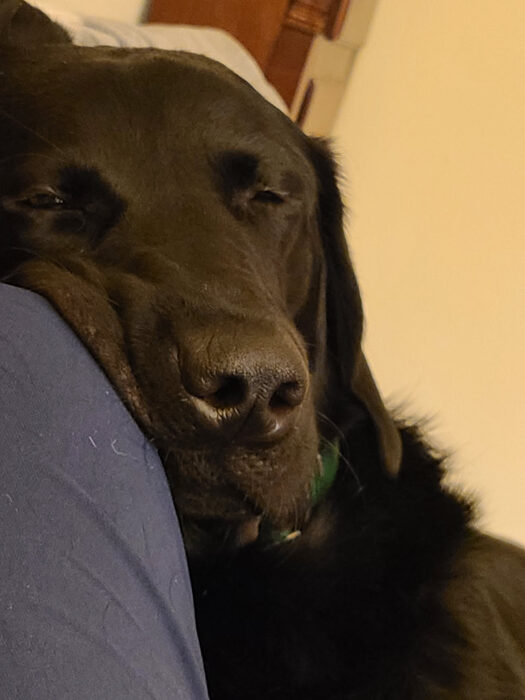 Cedric, Apr 2021