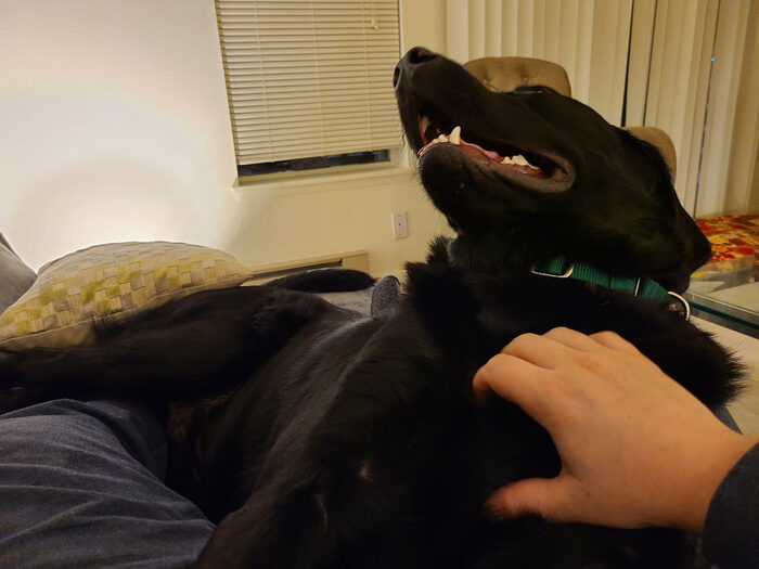 Cedric, Feb 2021