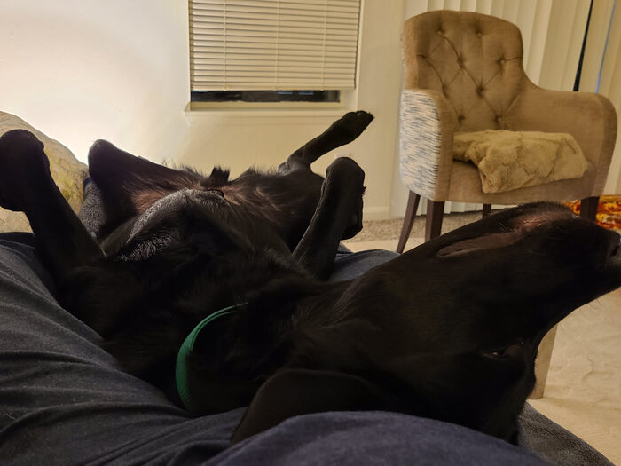 Cedric, Feb 2021