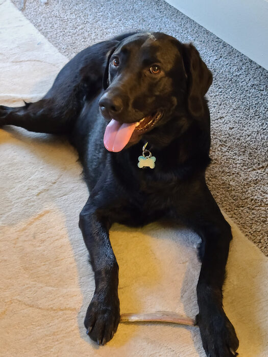 Cedric, Jul 2021