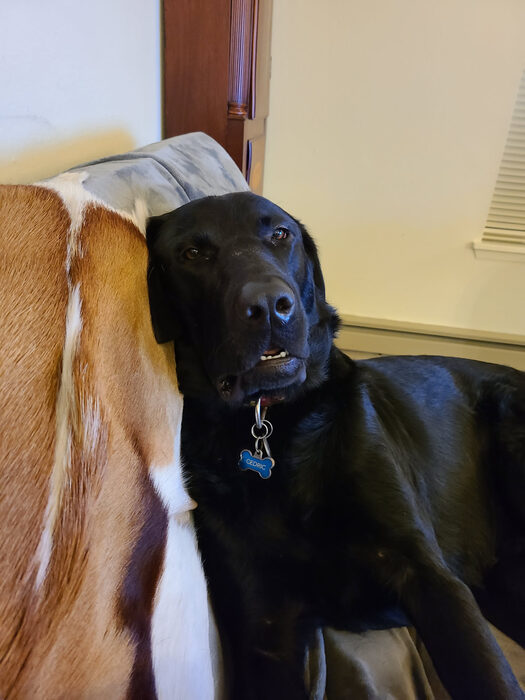 Cedric, Nov 2021