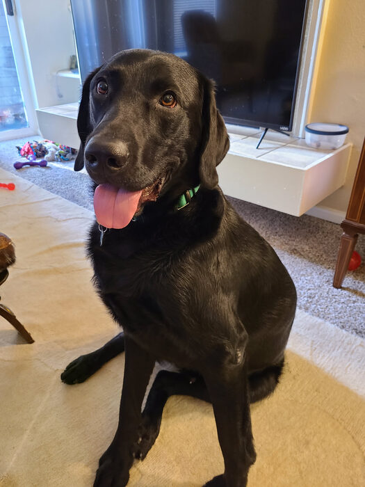 Cedric, Apr 2021