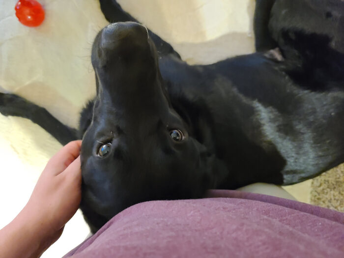 Cedric, Feb 2021