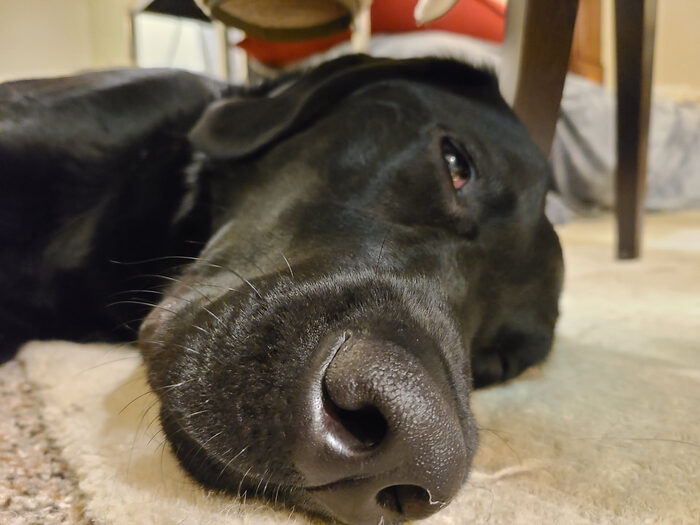Cedric, Feb 2021