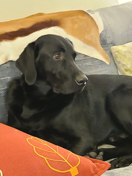 Cedric, Jan 2021