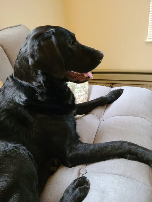 Cedric, Jan 2021