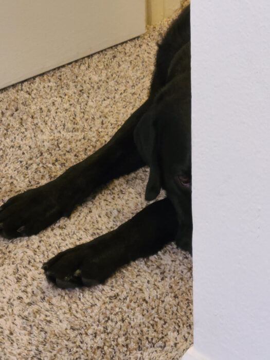 Cedric, Mar 2021
