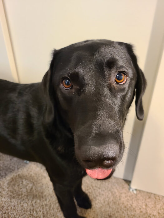 Cedric, Feb 2021