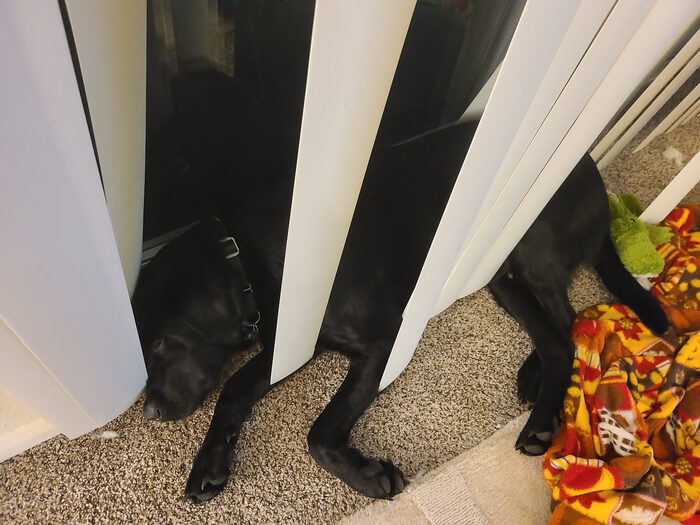 Cedric, Feb 2021